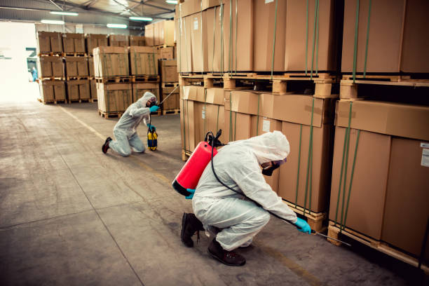 Best Bed Bug Extermination  in Washingtonville, NY
