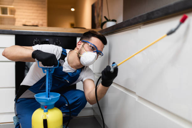 Best Pest Control Near Me  in Washingtonville, NY