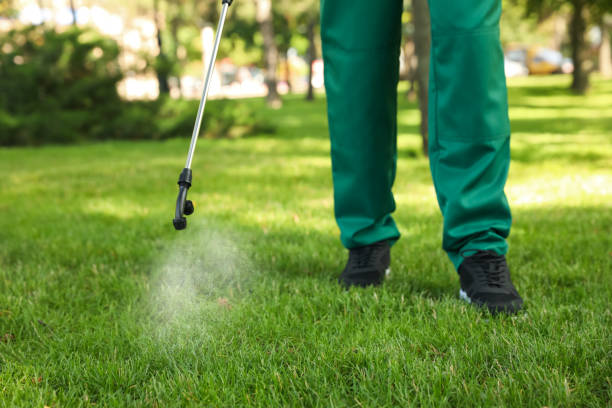 Best Flea Control Services  in Washingtonville, NY