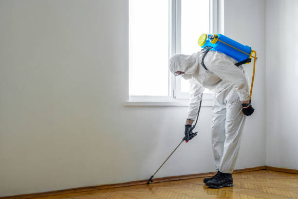 Trusted Washingtonville, NY Pest Control Experts