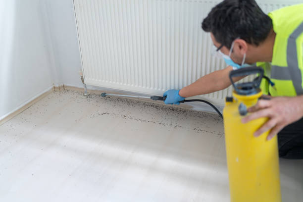 Best Pest Control Near Me in Washingtonville, NY