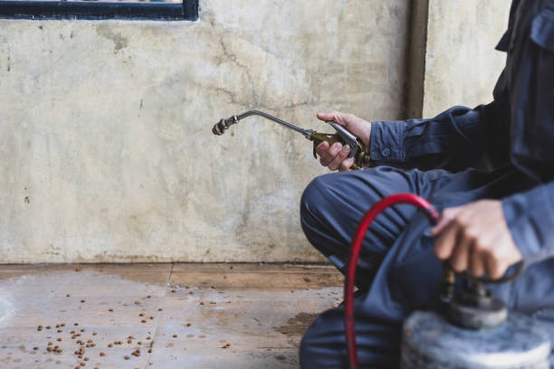 Best Mosquito Control Services  in Washingtonville, NY